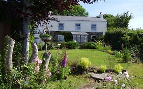 Vine Cottage